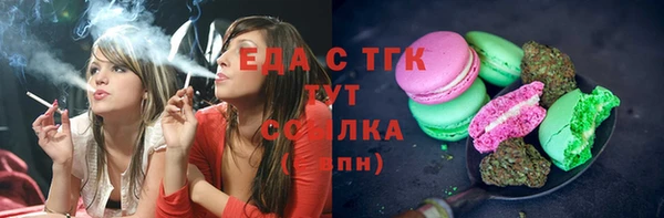 шишки Инсар