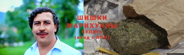 шишки Инта