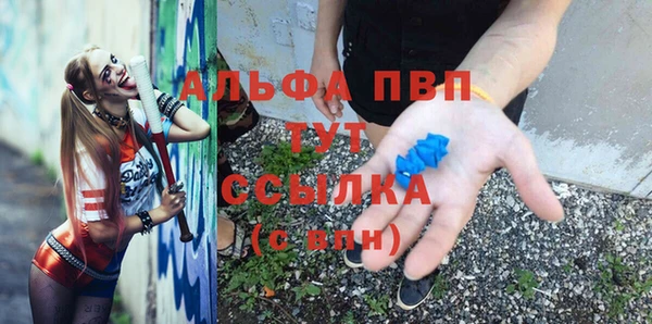 стаф Богородицк
