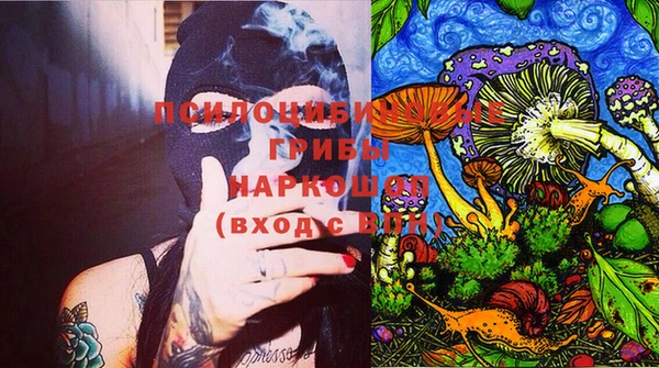 стаф Богородицк