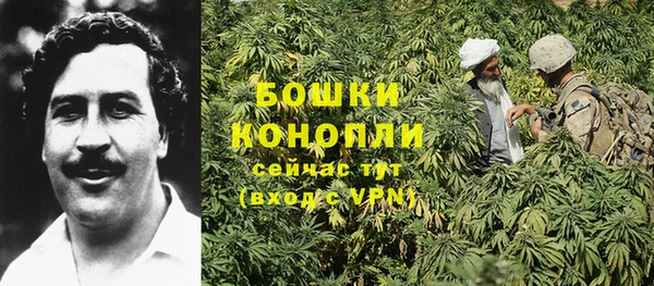 синтетический гашиш Белокуриха