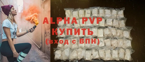 стаф Богородицк