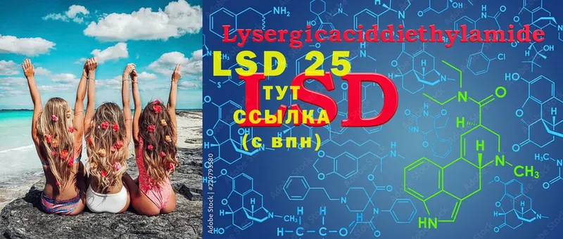 LSD-25 экстази ecstasy  Бологое 