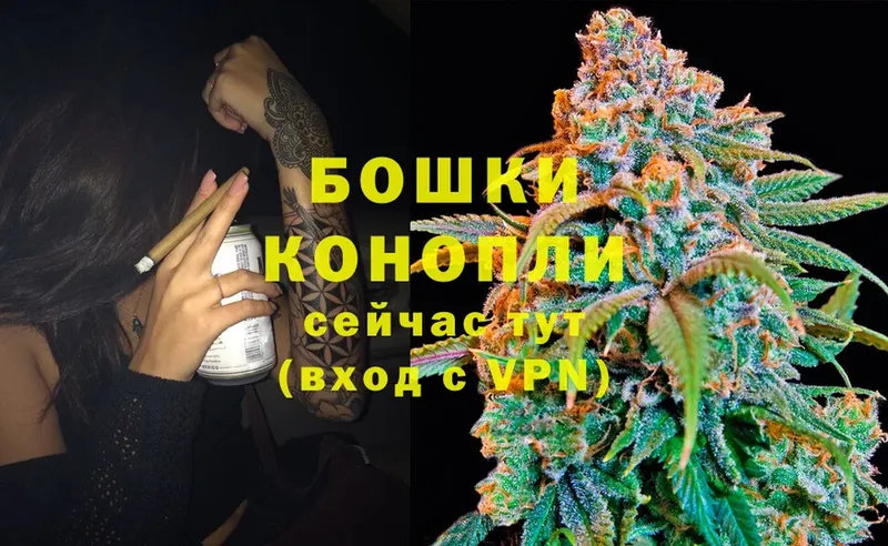 Конопля планчик  Бологое 