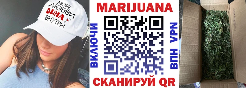 МАРИХУАНА сатива Бологое